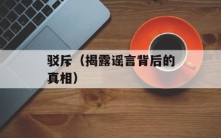 驳斥（揭露谣言背后的真相）