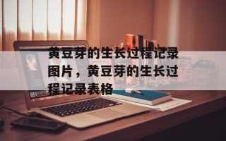 黄豆芽的生长过程记录图片，黄豆芽的生长过程记录表格