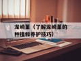 龙崎堇（了解龙崎堇的种植和养护技巧）