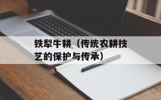 铁犁牛耕（传统农耕技艺的保护与传承）