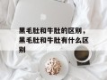 黑毛肚和牛肚的区别，黑毛肚和牛肚有什么区别