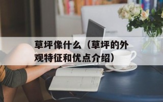 草坪像什么（草坪的外观特征和优点介绍）