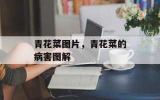 青花菜图片，青花菜的病害图解