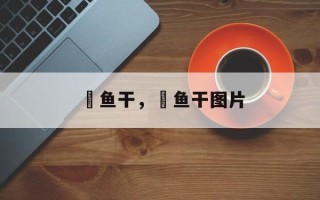 鳀鱼干，鳀鱼干图片