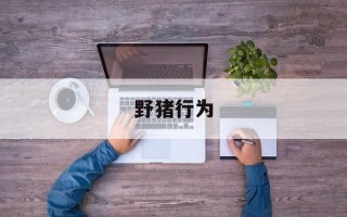 野猪行为
