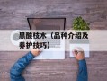 黑酸枝木（品种介绍及养护技巧）