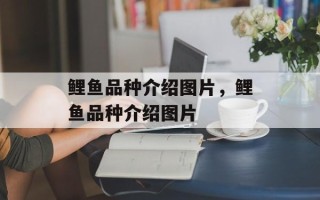 鲤鱼品种介绍图片，鲤鱼品种介绍图片