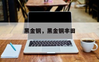 黑金钢，黑金钢丰田