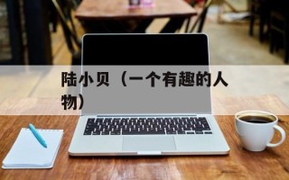 陆小贝（一个有趣的人物）