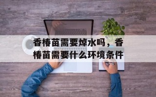 香椿苗需要焯水吗，香椿苗需要什么环境条件