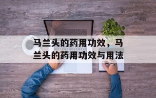 马兰头的药用功效，马兰头的药用功效与用法