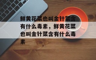 鲜黄花菜也叫金针菜含有什么毒素，鲜黄花菜也叫金针菜含有什么毒素
