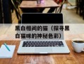 黑白相间的猫（探寻黑白猫咪的神秘色彩）