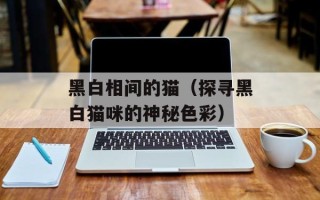 黑白相间的猫（探寻黑白猫咪的神秘色彩）
