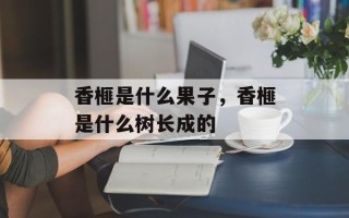 香榧是什么果子，香榧是什么树长成的