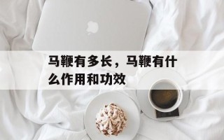 马鞭有多长，马鞭有什么作用和功效