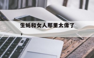 生蚝和女人那里太像了，