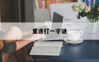 重逢打一字谜