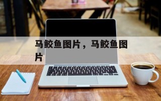 马鲛鱼图片，马鲛鱼图片