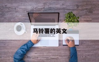 马铃薯的英文