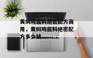 黄焖鸡酱料绝密配方商用，黄焖鸡酱料绝密配方多少钱