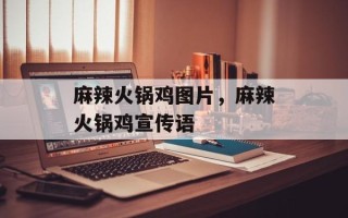 麻辣火锅鸡图片，麻辣火锅鸡宣传语