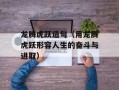 龙腾虎跃造句（用龙腾虎跃形容人生的奋斗与进取）