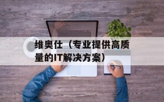 维奥仕（专业提供高质量的IT解决方案）
