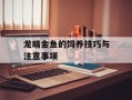 龙睛金鱼的饲养技巧与注意事项