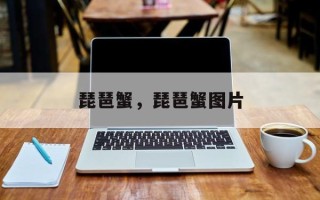 琵琶蟹，琵琶蟹图片