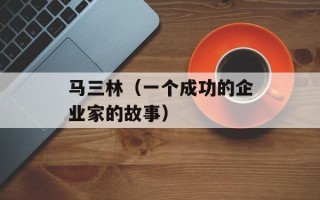 马三林（一个成功的企业家的故事）