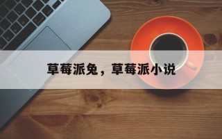 草莓派兔，草莓派小说