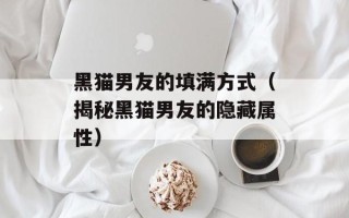 黑猫男友的填满方式（揭秘黑猫男友的隐藏属性）