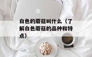 白色的蘑菇叫什么（了解白色蘑菇的品种和特点）