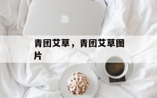 青团艾草，青团艾草图片