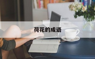 荷花的成语
