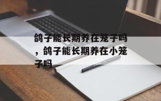 鸽子能长期养在笼子吗，鸽子能长期养在小笼子吗