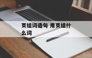 页组词造句 用页组什么词