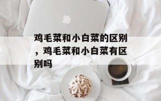 鸡毛菜和小白菜的区别，鸡毛菜和小白菜有区别吗