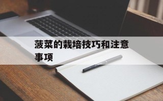 菠菜的栽培技巧和注意事项