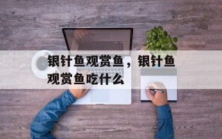 银针鱼观赏鱼，银针鱼观赏鱼吃什么