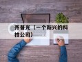齐普光（一个新兴的科技公司）
