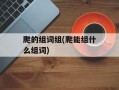爬的组词组(爬能组什么组词)