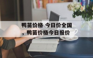 鸭苗价格 今日价全国，鸭苗价格今日报价