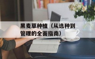 黑麦草种植（从选种到管理的全面指南）