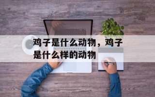 鸡子是什么动物，鸡子是什么样的动物