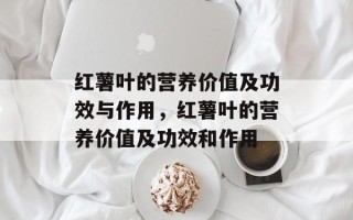 红薯叶的营养价值及功效与作用，红薯叶的营养价值及功效和作用