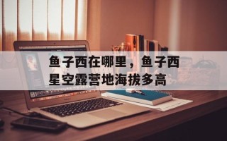 鱼子西在哪里，鱼子西星空露营地海拔多高