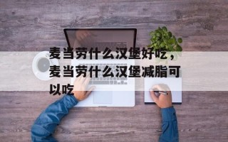 麦当劳什么汉堡好吃，麦当劳什么汉堡减脂可以吃