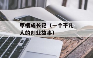 草根成长记（一个平凡人的创业故事）